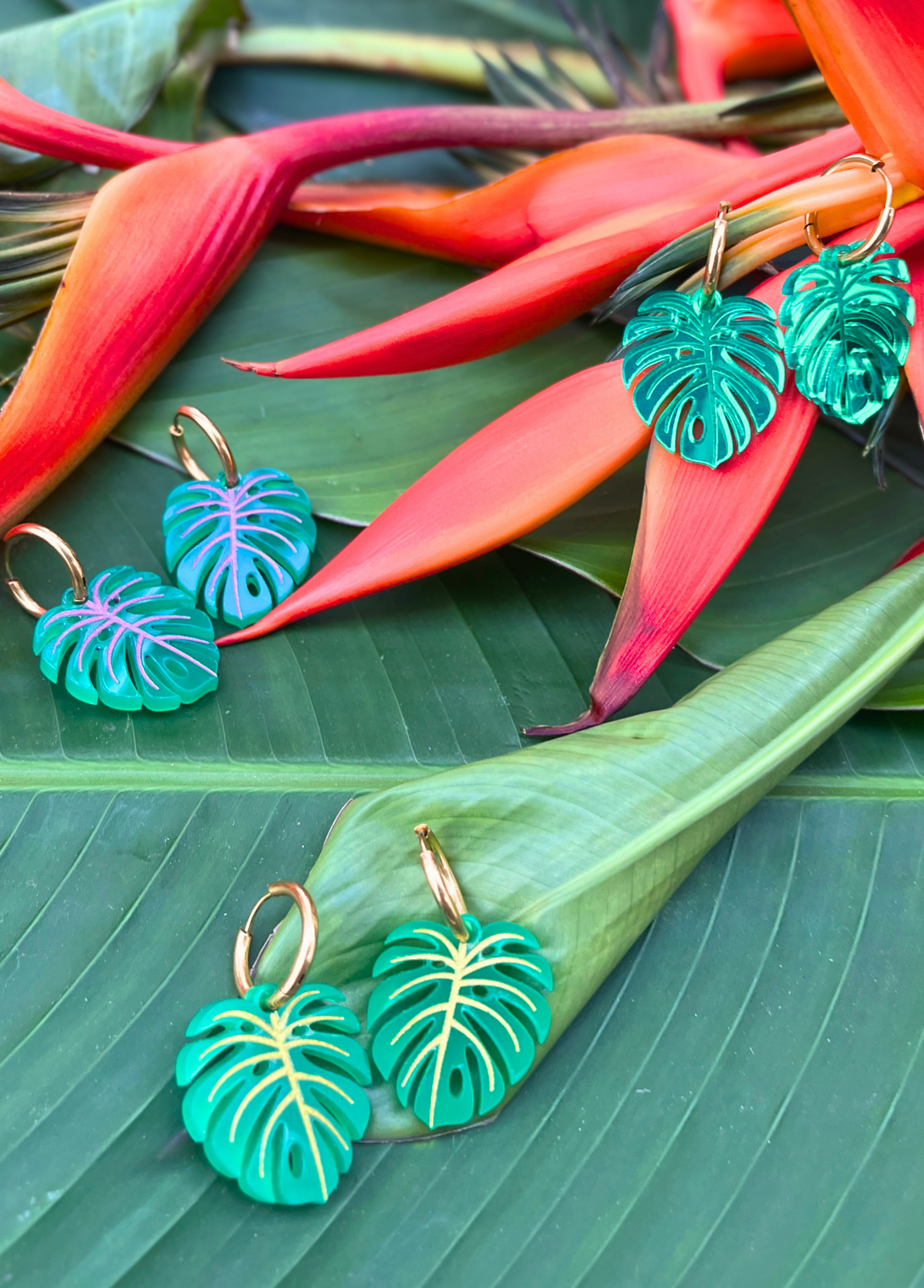 Monstera