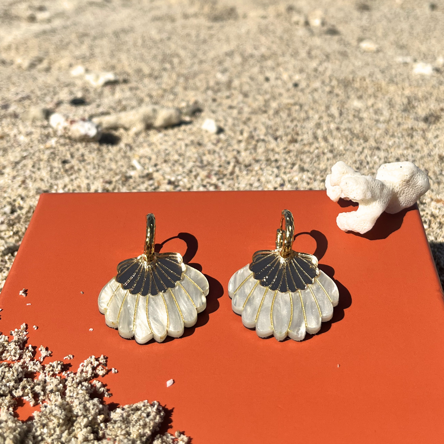 Créoles Coquillage