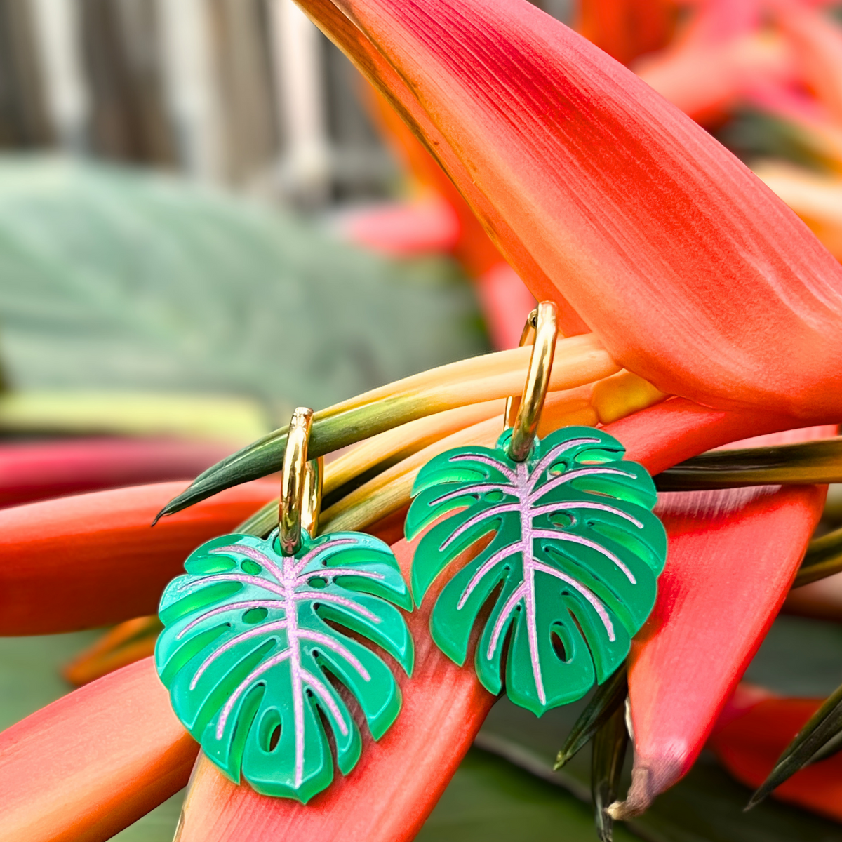 Créoles MONSTERA vert/rose