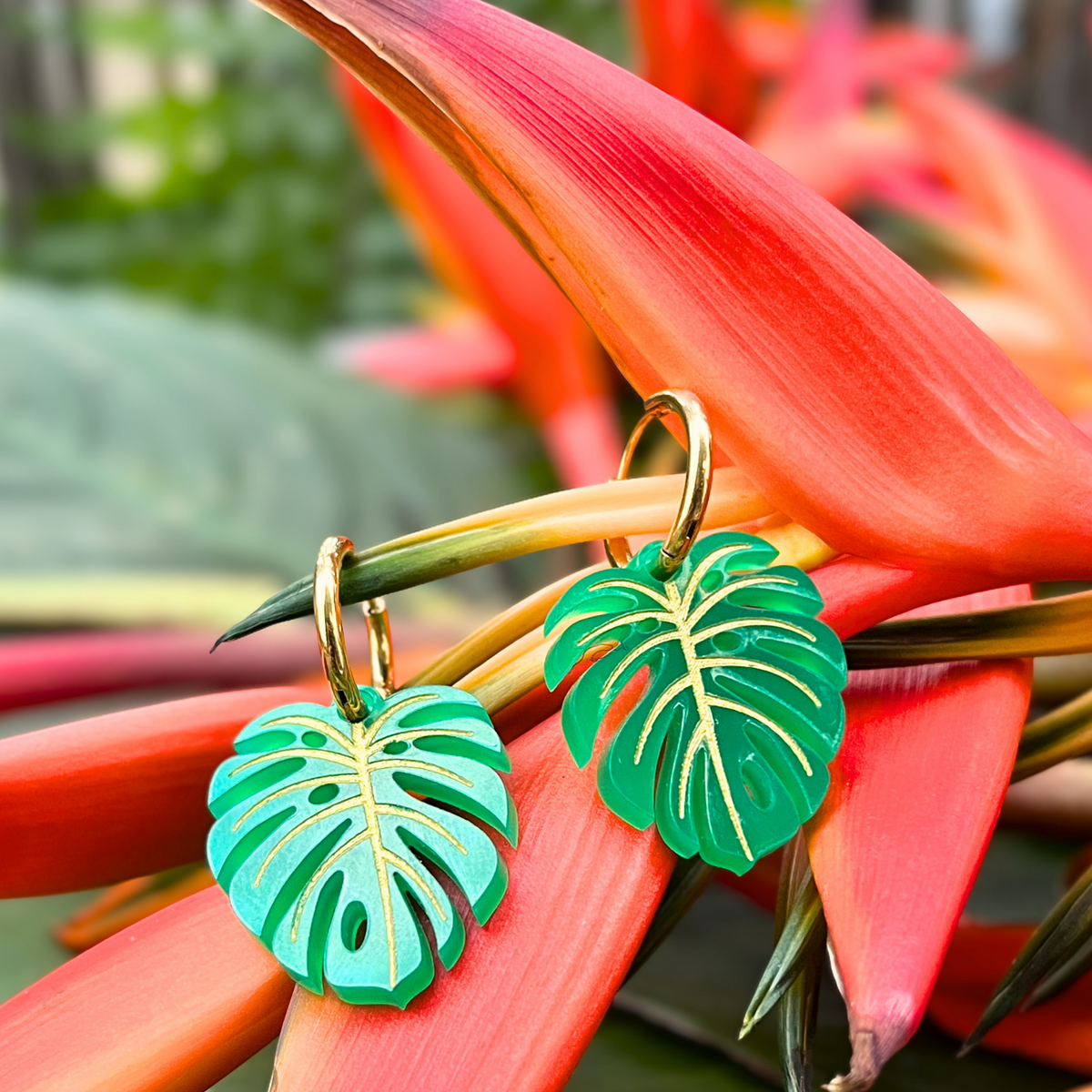 Créoles MONSTERA vert/doré