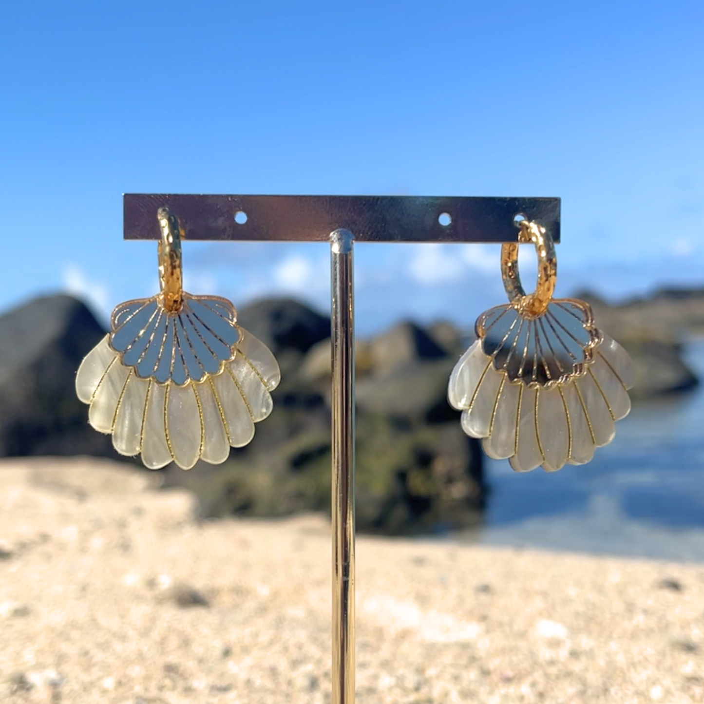 Créoles Coquillage
