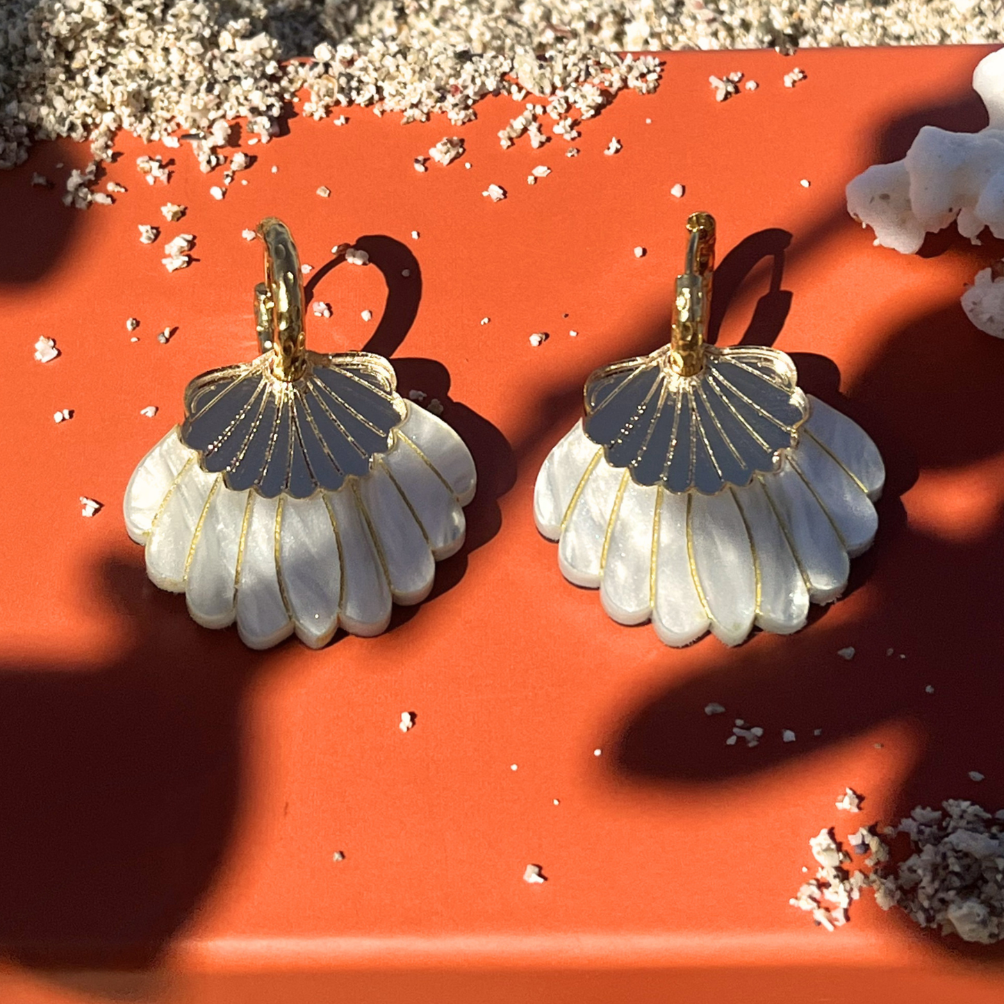 Créoles Coquillage
